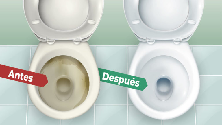 ¿Cómo eliminar el sarro en la taza del baño?